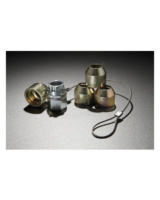 Ford Wheel Locks - Zinc-Plated For Hidden Lugs