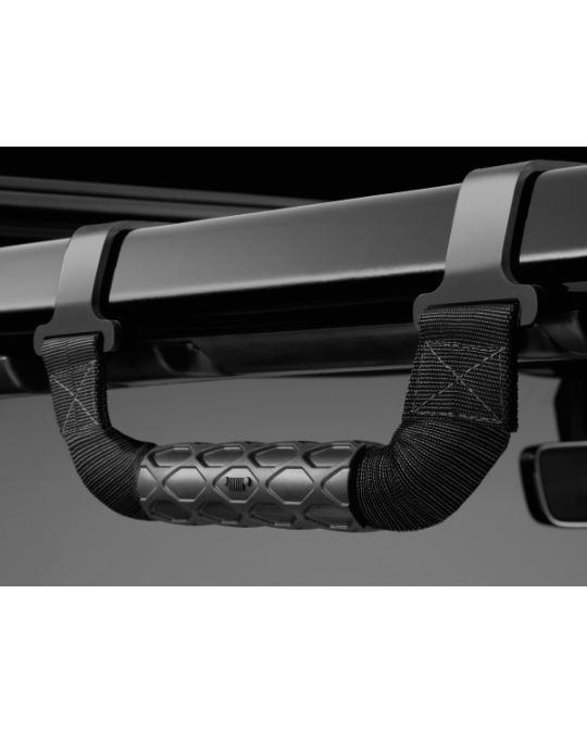 Mopar Grab Handles Rear Pair