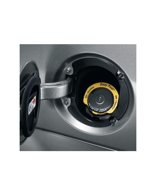 Ford Locking Fuel plug