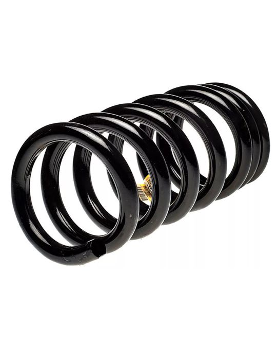 Genuine Ford Rear GT350 Spring Upgrade For GT Models