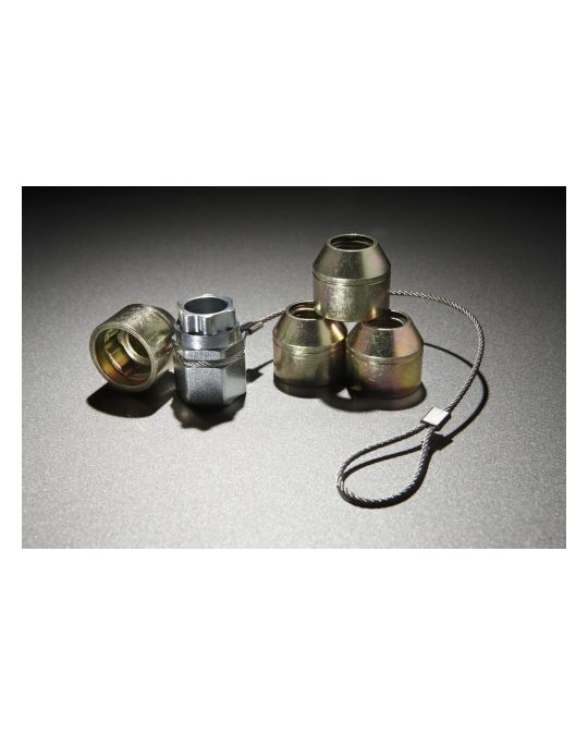 Ford Wheel Locks - Hidden Lugs