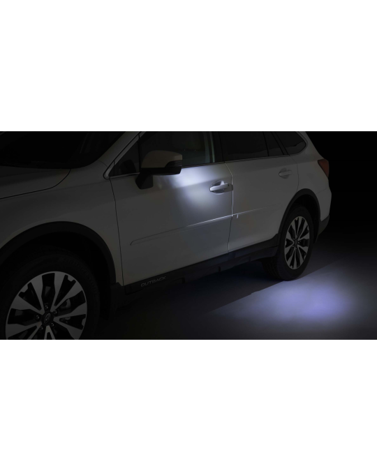 Subaru Auto Dimming Mirror with Approach Light / Blind Spot