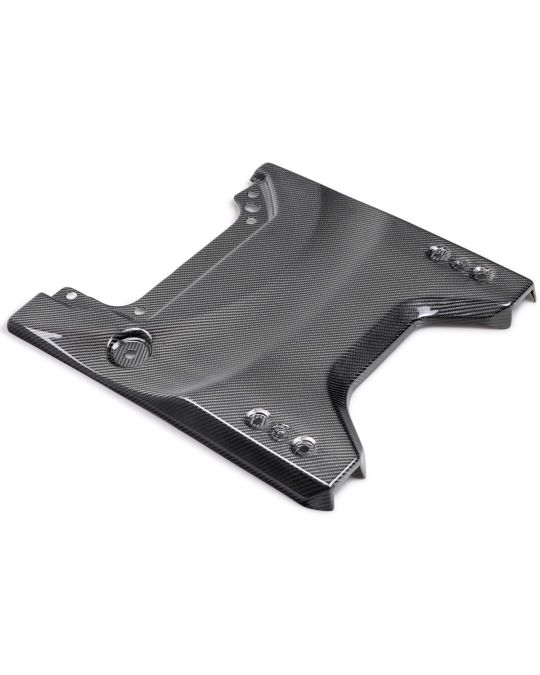 Ford Performance Carbon Fiber Tailgate Panel Trim Applique With Gloss Finish For Raptor