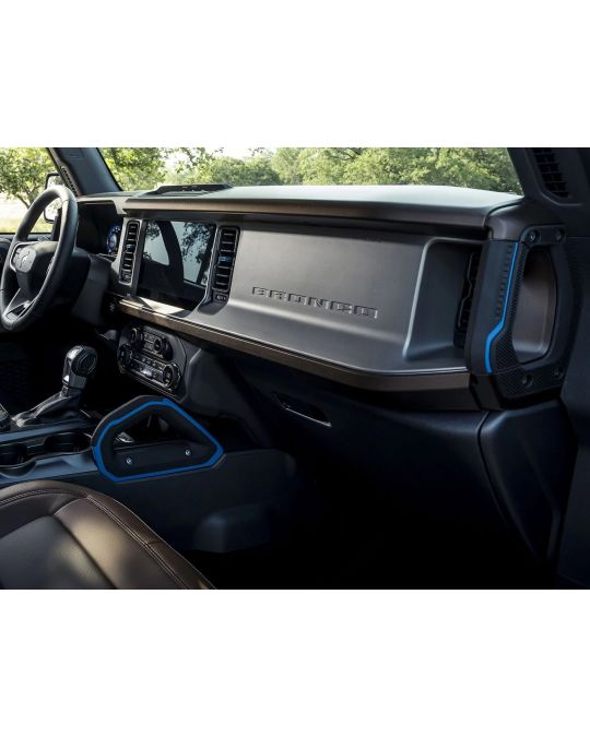 Ford Passenger Assist Handles Grabber Blue