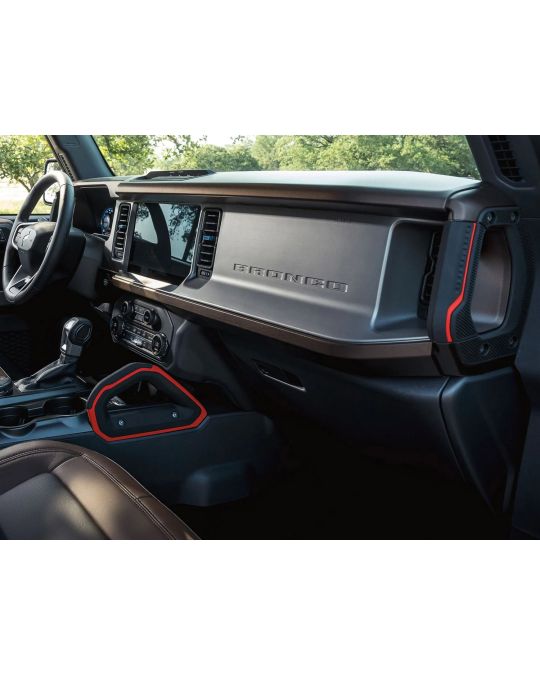 Ford Passenger Assist Handles Race Red