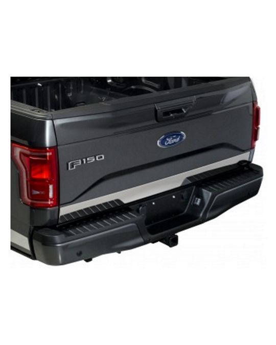 Ford Tailgate Trim - Lower - Stainless Steel