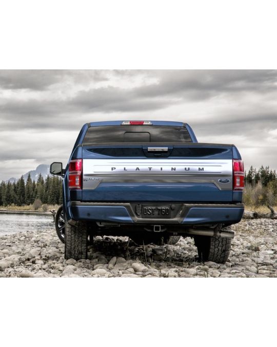 Ford Tailgate Lettering - Platinum