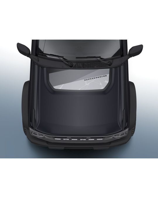 Ford Custom Graphics Hood Cowl And Lower Rocker Stripes Geometric Design