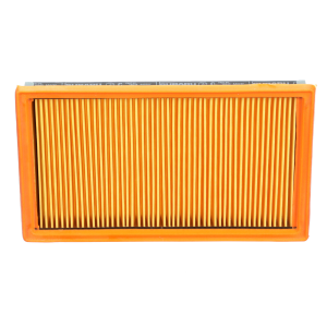Engine Air Filter