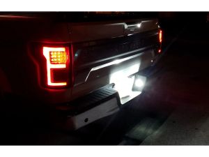 License Plate Lighting