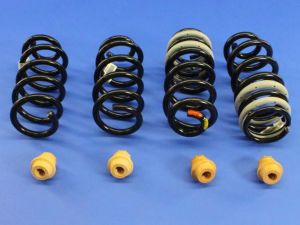 Mopar Performance Lowering Springs